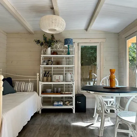 Driftwood Dreams Garden Cabin Lyminster Exterior photo