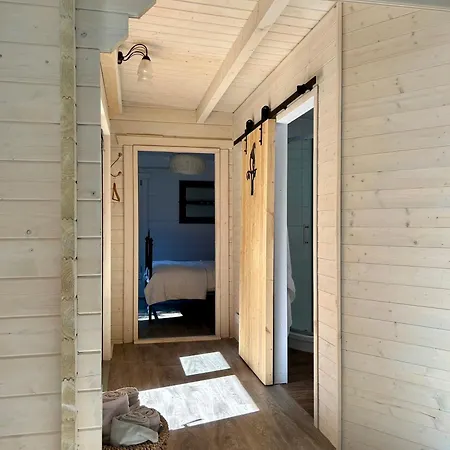 Driftwood Dreams Garden Cabin Lyminster Exterior photo