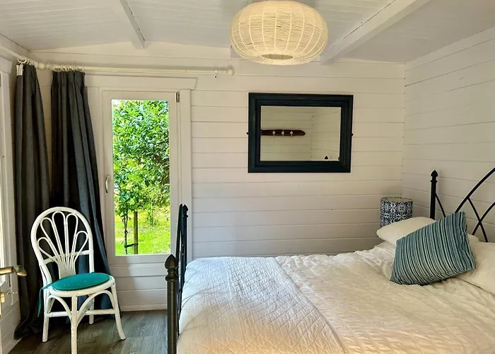 Driftwood Dreams Garden Cabin