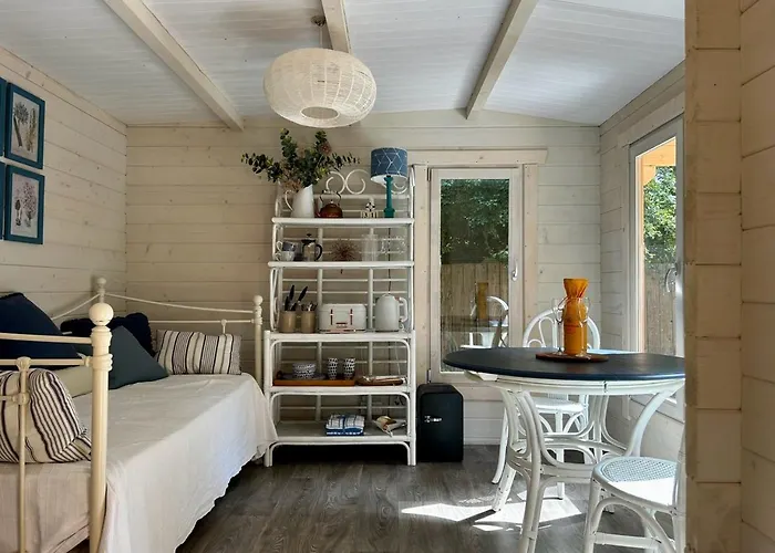 Driftwood Dreams Garden Cabin